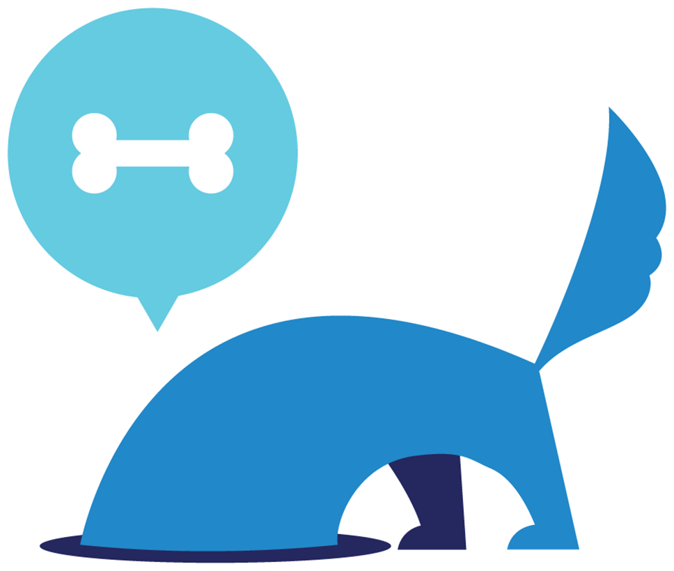 SEO & Performance SEO & Performance